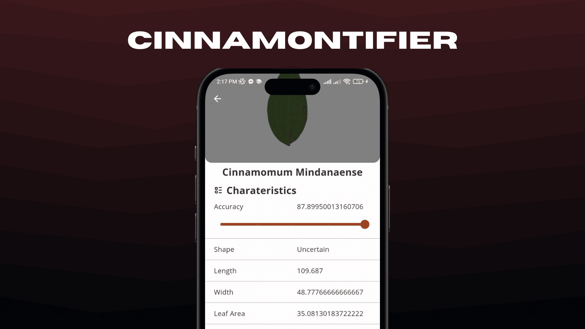 Preview of Cinnamontifier